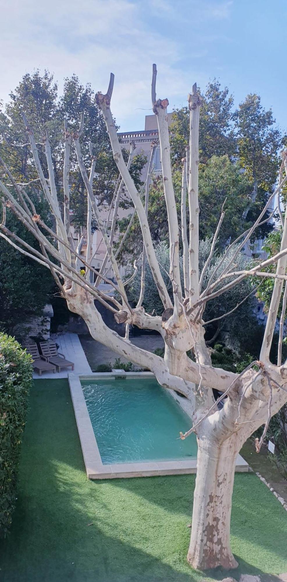 Maison D'Hotes La Bastide De Patou, Suite De 2 A 6 Personnes Marseilles Exterior foto